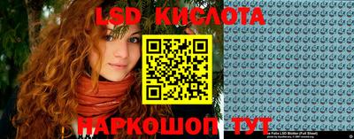 молекула духа Донецк