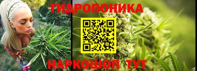 ALPHA PVP Дубна
