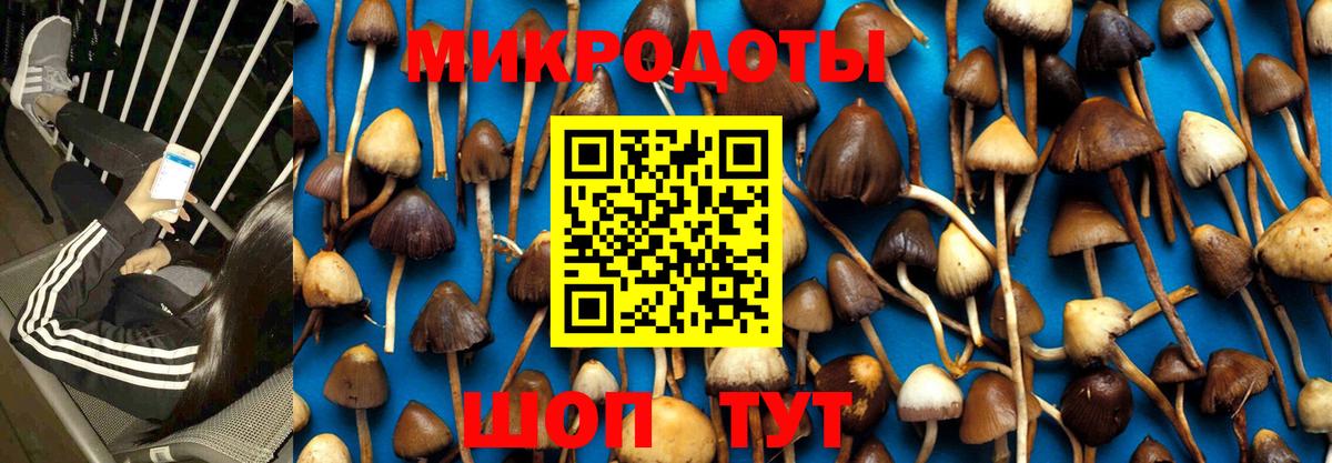 Галлюциногенные грибы GOLDEN TEACHER Мариинск
